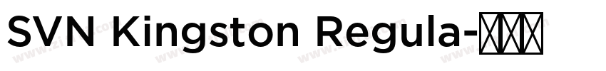 SVN Kingston Regula字体转换